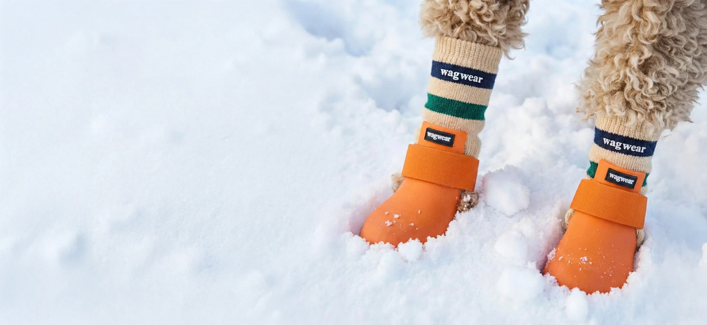 High Fashion for Modern Paws